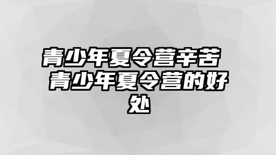 青少年夏令營辛苦 青少年夏令營的好處