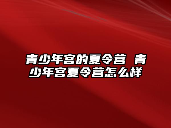 青少年宮的夏令營 青少年宮夏令營怎么樣