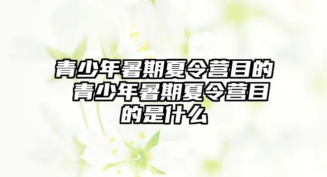 青少年暑期夏令營目的 青少年暑期夏令營目的是什么