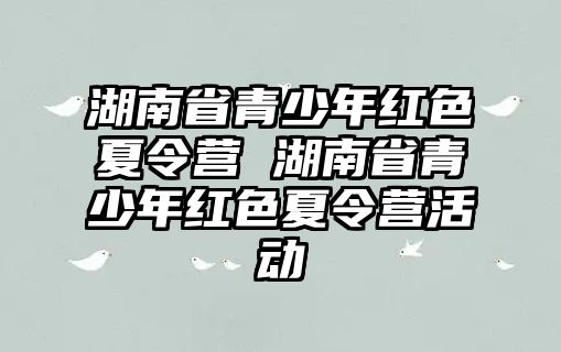 湖南省青少年紅色夏令營 湖南省青少年紅色夏令營活動