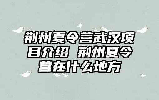 荊州夏令營武漢項目介紹 荊州夏令營在什么地方