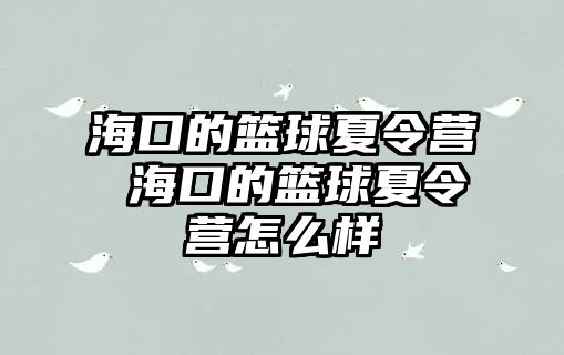 海口的籃球夏令營 海口的籃球夏令營怎么樣