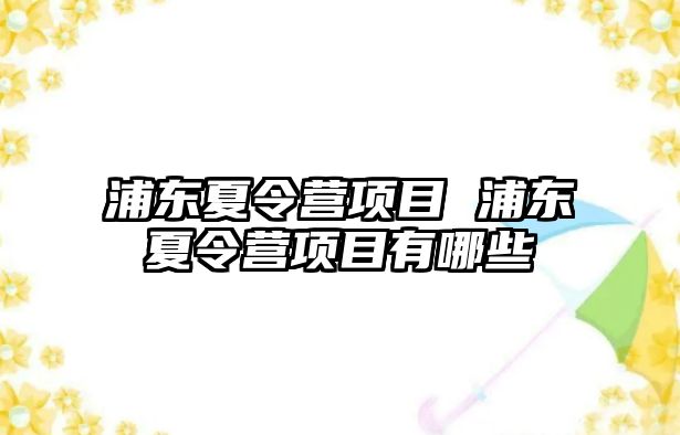 浦東夏令營項目 浦東夏令營項目有哪些