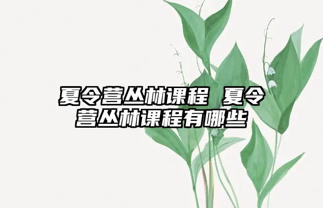 夏令營叢林課程 夏令營叢林課程有哪些