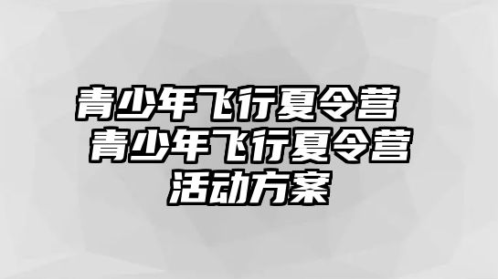 青少年飛行夏令營 青少年飛行夏令營活動方案