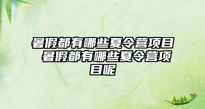 暑假都有哪些夏令營項目 暑假都有哪些夏令營項目呢