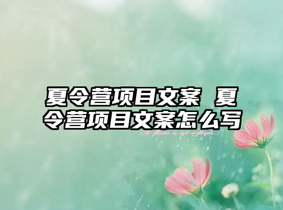 夏令營項目文案 夏令營項目文案怎么寫