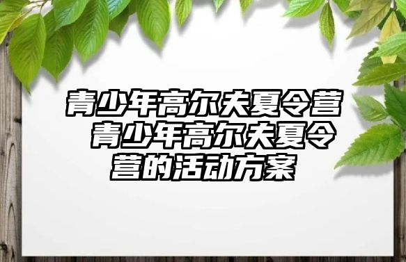 青少年高爾夫夏令營 青少年高爾夫夏令營的活動方案