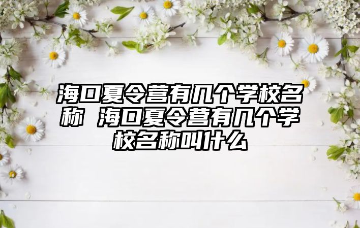 海口夏令營有幾個學校名稱 海口夏令營有幾個學校名稱叫什么