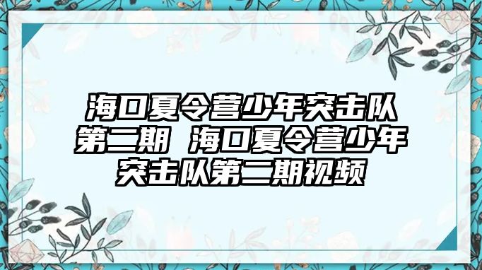 海口夏令營少年突擊隊第二期 海口夏令營少年突擊隊第二期視頻