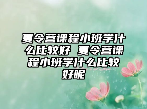 夏令營課程小班學什么比較好 夏令營課程小班學什么比較好呢