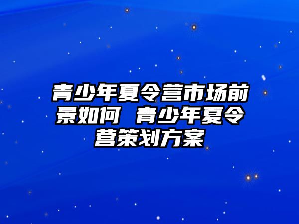 青少年夏令營(yíng)市場(chǎng)前景如何 青少年夏令營(yíng)策劃方案