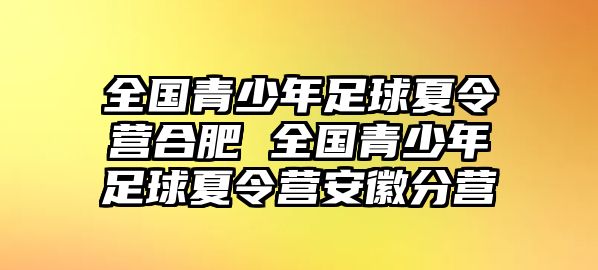 全國(guó)青少年足球夏令營(yíng)合肥 全國(guó)青少年足球夏令營(yíng)安徽分營(yíng)