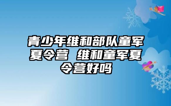 青少年維和部隊童軍夏令營 維和童軍夏令營好嗎