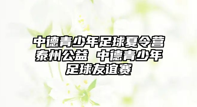 中德青少年足球夏令營泰州公益 中德青少年足球友誼賽