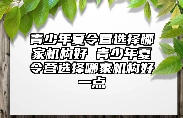 青少年夏令營選擇哪家機(jī)構(gòu)好 青少年夏令營選擇哪家機(jī)構(gòu)好一點